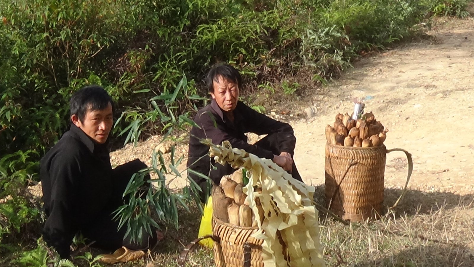 10-Day Ha Giang Loop & Hoang Su Phi Cycling Adventure